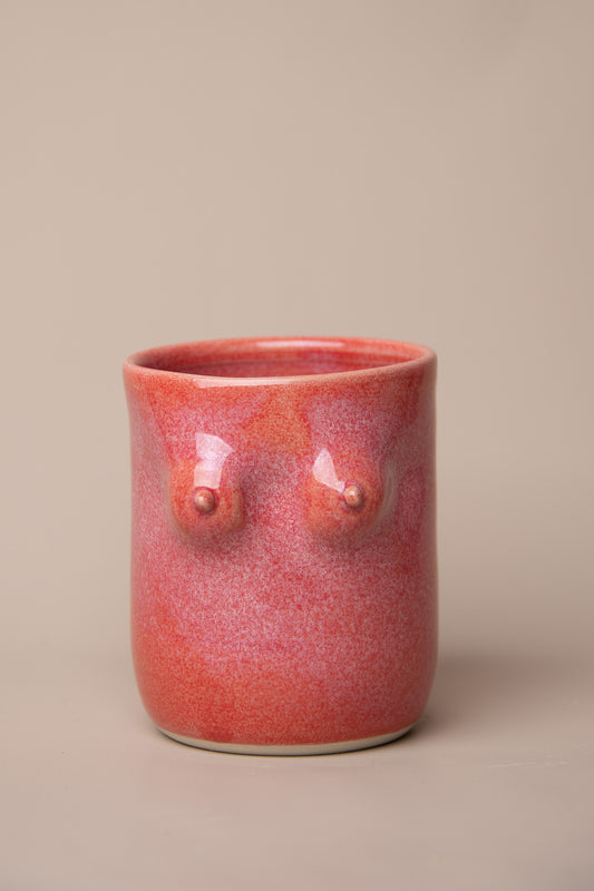 Booby Cup